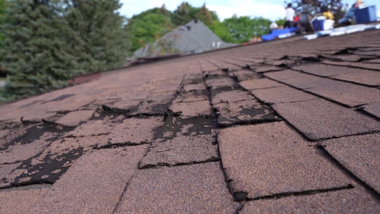 Best Slate Roofing  in USA